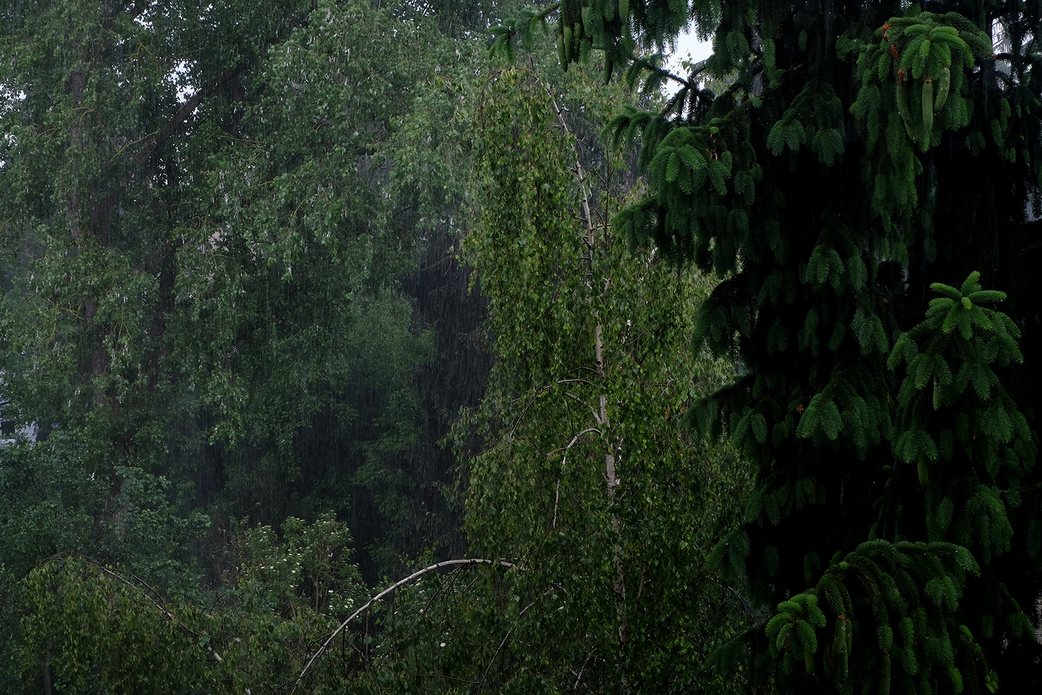 Lluvia cayendo, Junio 2020